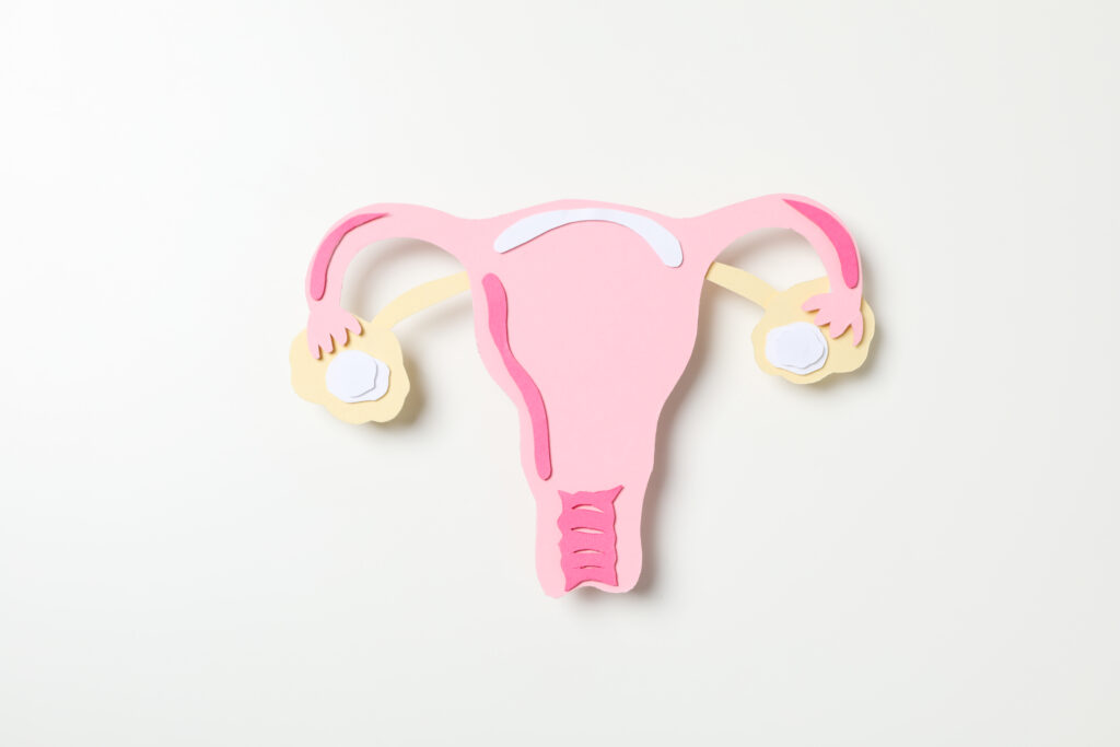 women's health and women's healthcare concept with uterus